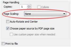 Print options